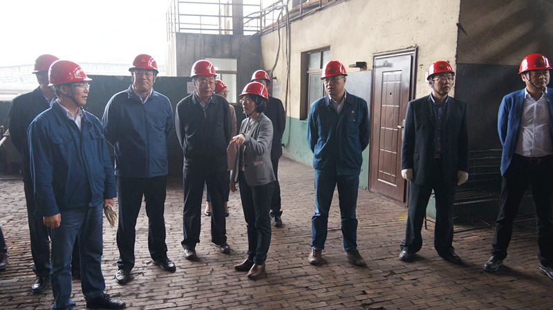 国家钢铁行业转型升级调研组来开云手机官方版在线入口调研考察
