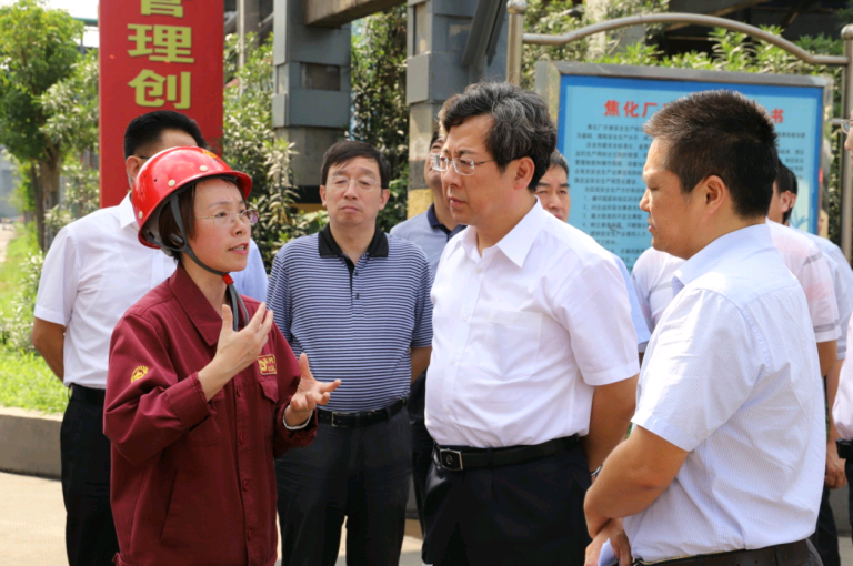 省环保厅厅长王天琦一行来开云手机官方版在线入口视察