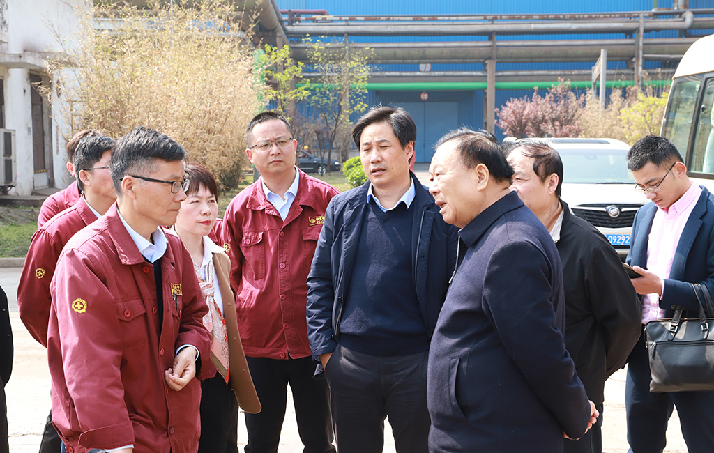 集团董事局主席沈文荣来开云手机官方版在线入口调研指导