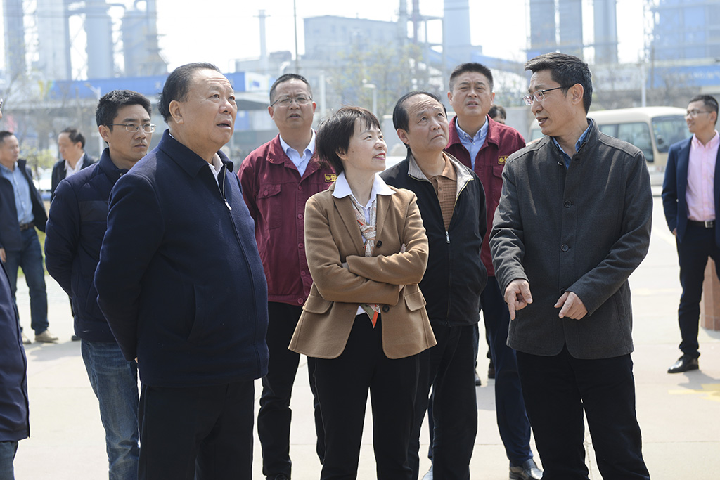 集团董事局主席沈文荣来开云手机官方版在线入口调研指导